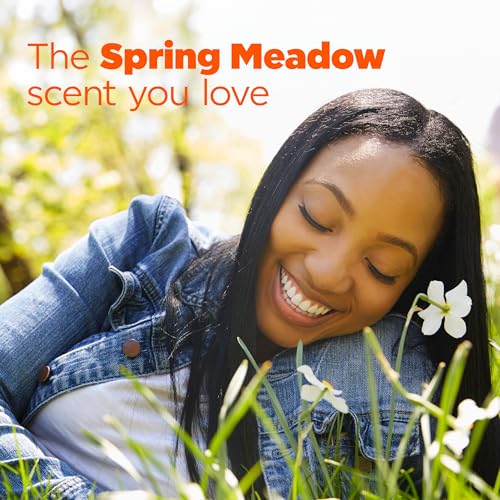 Tide PODS laundry detergent pacs, 3-in-1 Stain Remover, Odor Fighter, Color Protector, 112 Count, HE compatible, Spring Meadow Scent